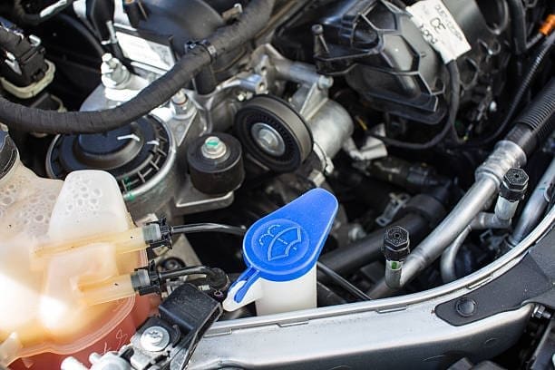 istockphoto 492888768 612x612 1 1