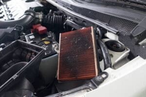 EGR Filter System